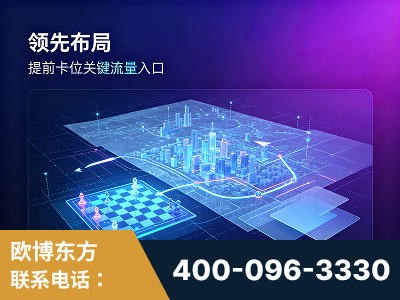 丽江-领先布局：于2024年初开启GEO业务的公司